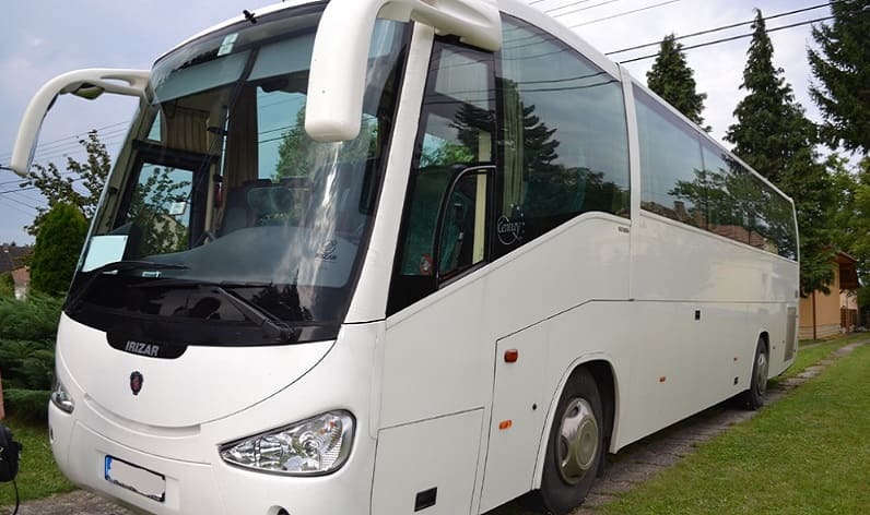 Saxony: Buses rental in Torgau in Torgau and Germany